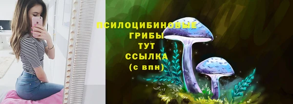 соль ск Балахна
