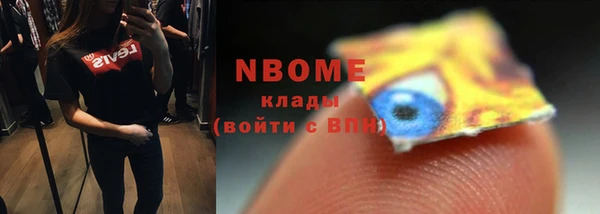 сатива Баксан