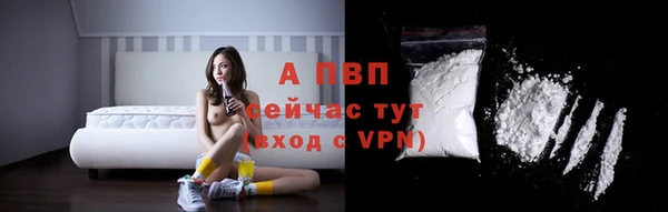 сатива Баксан