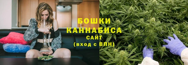 шишки Балабаново