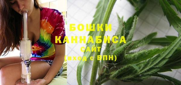 шишки Балабаново