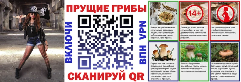 Псилоцибиновые грибы прущие грибы  mega ССЫЛКА  нарко площадка наркотические препараты  купить наркотик  Белогорск 
